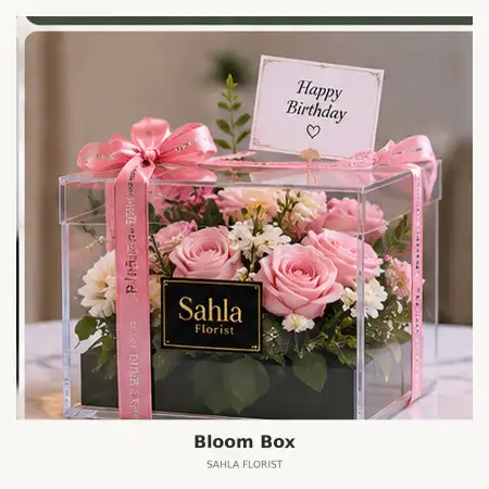 Bloom Box Jayapura Kota